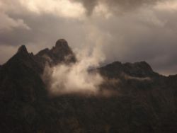 2013-09-08_6Falkenh-Steinfalk (142).JPG